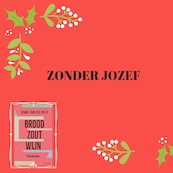 Zonder Jozef - Vonne van der Meer (ISBN 9789025452742)