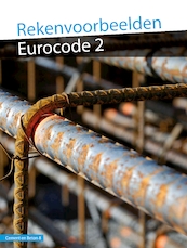 Rekenvoorbeelden Eurocode 2 (CB8) - R. Braam (ISBN 9789461040527)