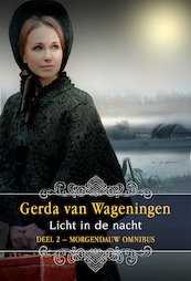 Licht in de nacht - Gerda van Wageningen (ISBN 9789059778849)