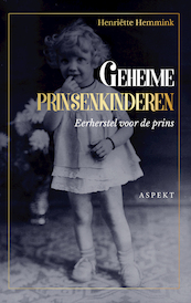 Geheime prinsenkinderen - Henriëtte Hemmink (ISBN 9789464249675)