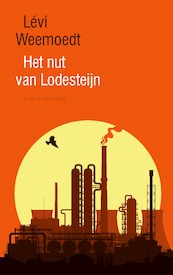 Het nut van Lodesteijn - Lévi Weemoedt (ISBN 9789038810652)