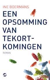 Een opsomming van tekortkomingen - Ine Boermans (ISBN 9789493081871)