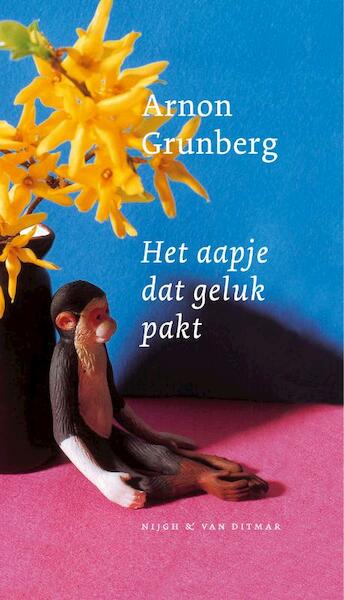 Het aapje dat geluk pakt - Arnon Grunberg (ISBN 9789038896441)
