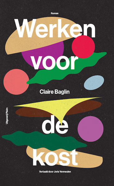 Werken voor de kost - Claire Baglin (ISBN 9789493304611)
