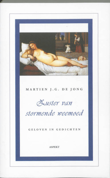 Zuster van stormende weemoed - Martien J.G. De Jong (ISBN 9789464627251)