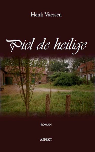 Piel de Heilige - Henk Vaessen (ISBN 9789464622096)