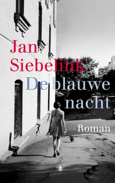 De blauwe nacht - Jan Siebelink (ISBN 9789023485810)