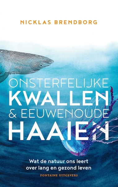 Stokoude haaien & leeftijdloze kwallen - Nicklas Brendborg (ISBN 9789464041507)