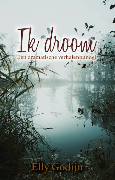 Ik droom - Elly Godijn (ISBN 9789493233515)