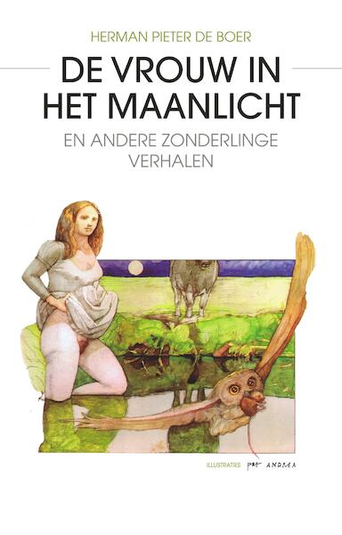 De vrouw in het maanlicht - Herman Pieter de Boer (ISBN 9789463450324)