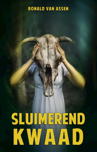 Sluimerend kwaad - Ronald van Assen (ISBN 9789493233478)