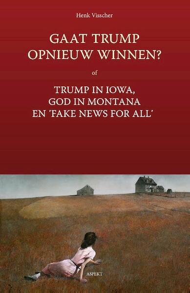 Gaat Trump opnieuw winnen? - Henk Visscher (ISBN 9789464623703)