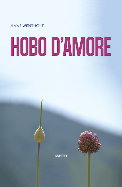 Hobo d'amore - Hans Wentholt (ISBN 9789464242652)