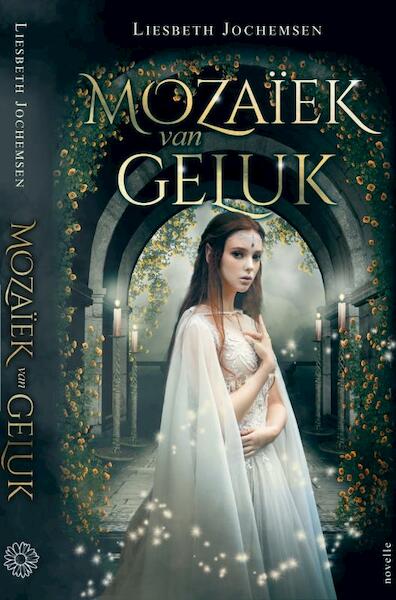 Mozaïek van Geluk - Liesbeth Jochemsen (ISBN 9789403676272)