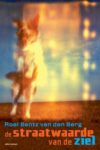 De straatwaarde van de ziel - Roel Bentz van den Berg (ISBN 9789025459864)