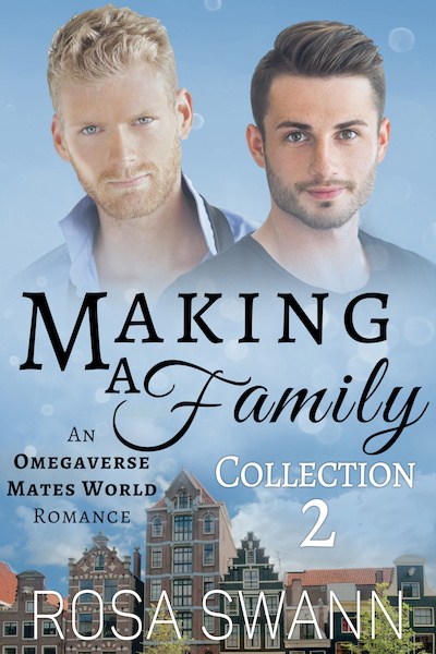 Making a Family Collection 2 - Rosa Swann (ISBN 9789493139510)