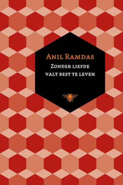 Zonder liefde valt best te leven - Anil Ramdas (ISBN 9789023469247)