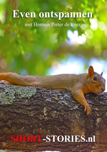 Even ontspannen - Herman Pieter de Boer (ISBN 9789464490756)