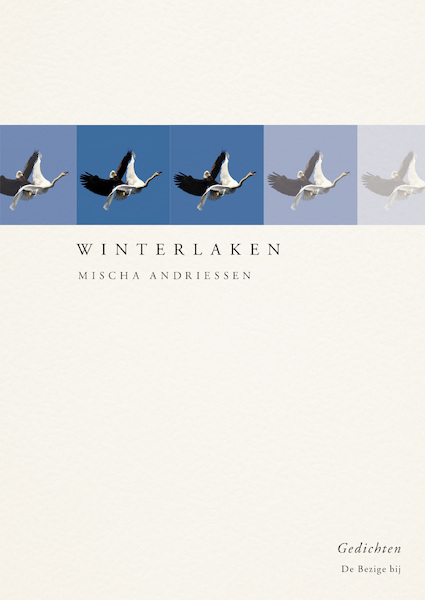Winterlaken - Mischa Andriessen (ISBN 9789403154206)