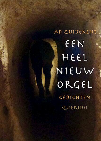 Een heel nieuw orgel - Ad Zuiderent (ISBN 9789021400785)