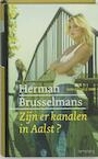 Zijn er kanalen in Aalst (e-Book) - Herman Brusselmans (ISBN 9789044619454)