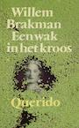 Een wak in het kroos (e-Book) - Willem Brakman (ISBN 9789021444123)