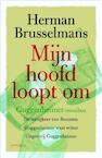 Mijn hoofd loopt om (e-Book) - Herman Brusselmans (ISBN 9789044620146)